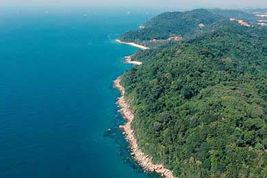 朱婷助球队拿下关键战女排世界杯，朱婷女排吧 朱婷个站