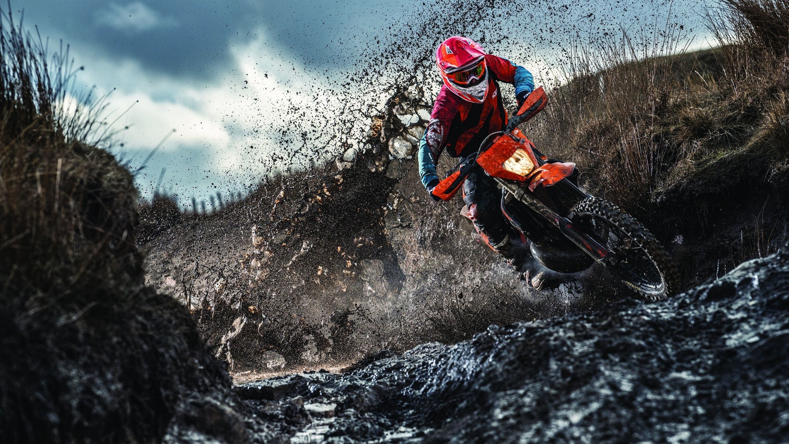 《Apex Legends》新地图上线,战局变化引发热议,apex.地图